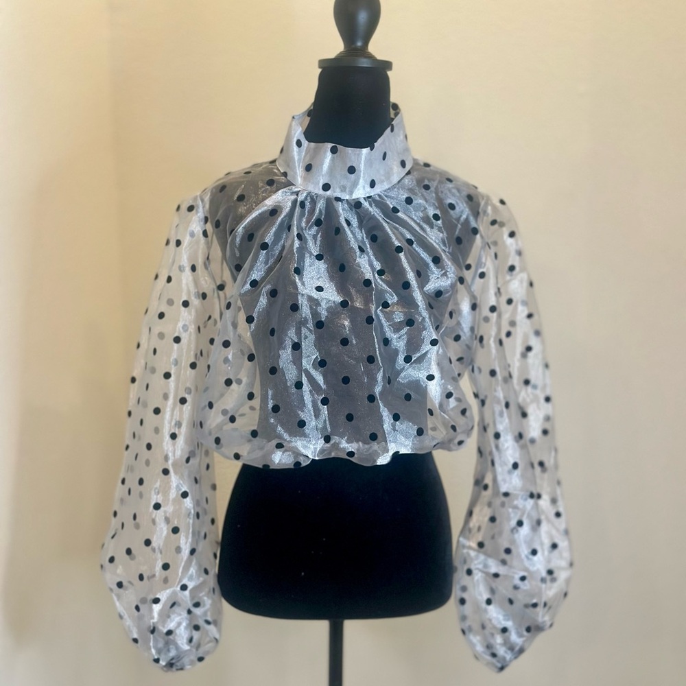 🍒Sheer Ruffled Blouse